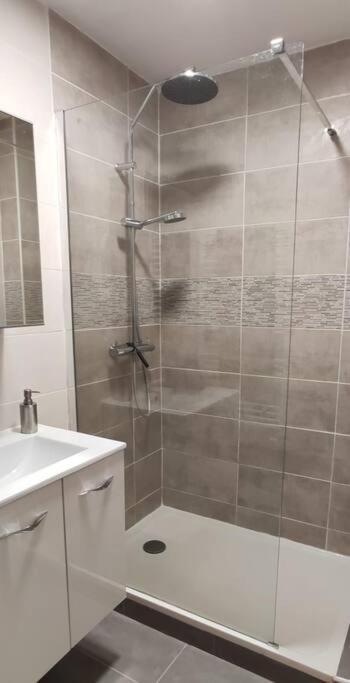 Logement 5 Personnes Proche Cv Et Parking Prive Appartement Saint-Etienne  Buitenkant foto