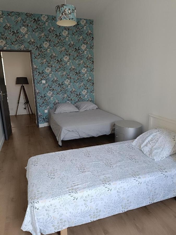 Logement 5 Personnes Proche Cv Et Parking Prive Appartement Saint-Etienne  Buitenkant foto